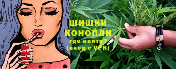 PSILOCYBIN Волосово